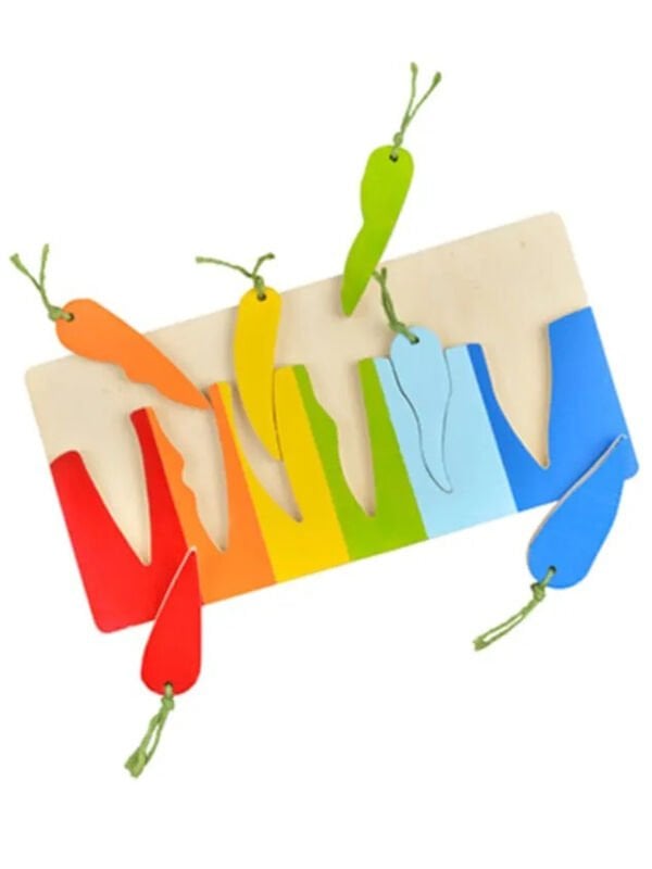 Bul-Tak Renkli Havuç