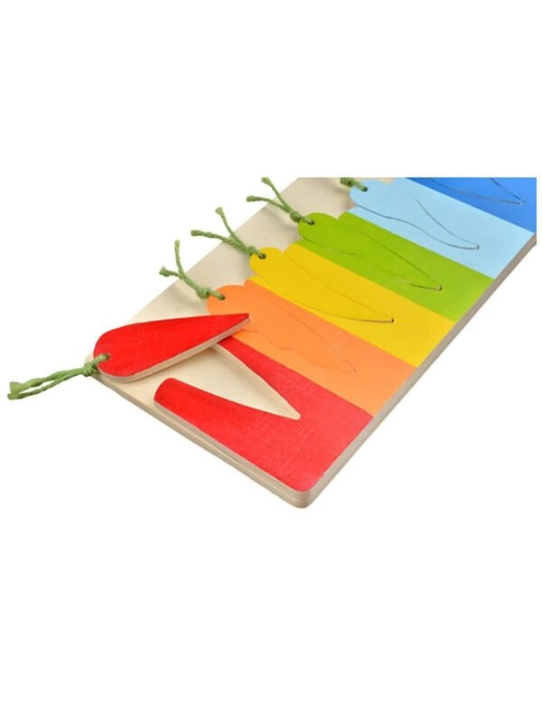 Bul-Tak Renkli Havuç