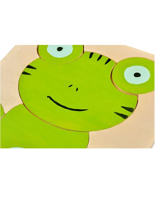 Bul-Tak Renkli Kurbağa