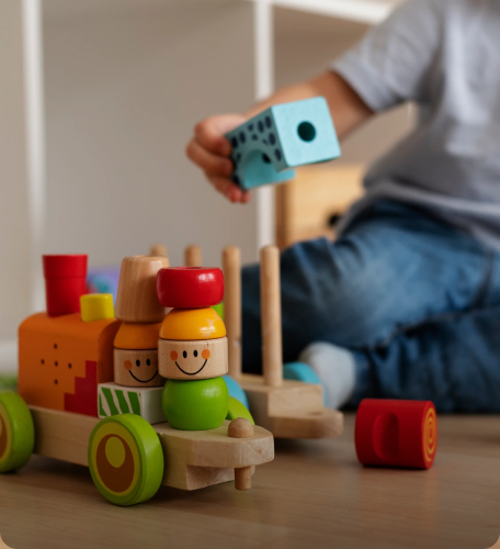 Montessori Oyuncaklar